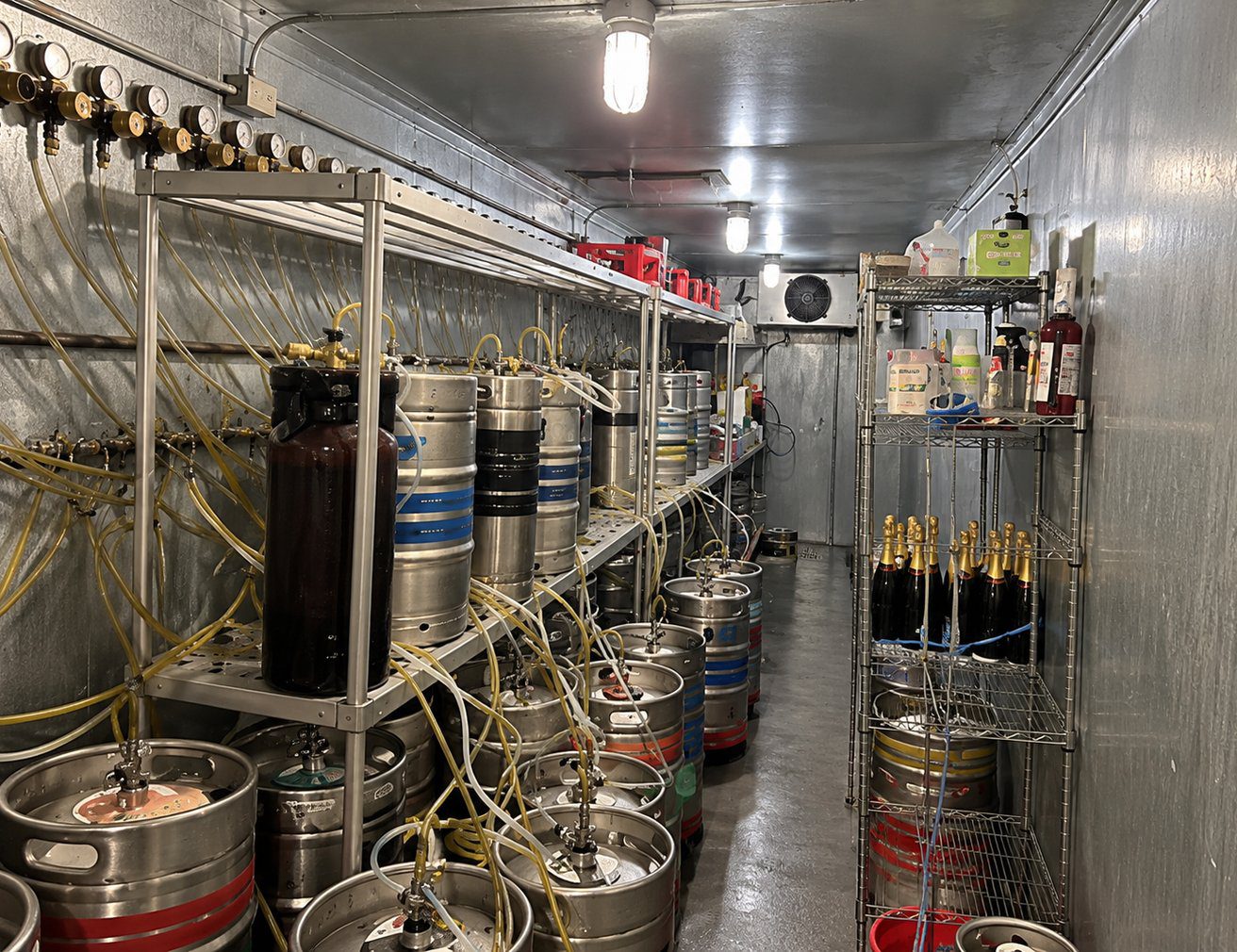 Commercial walk-in keg cooler with draft beer lines