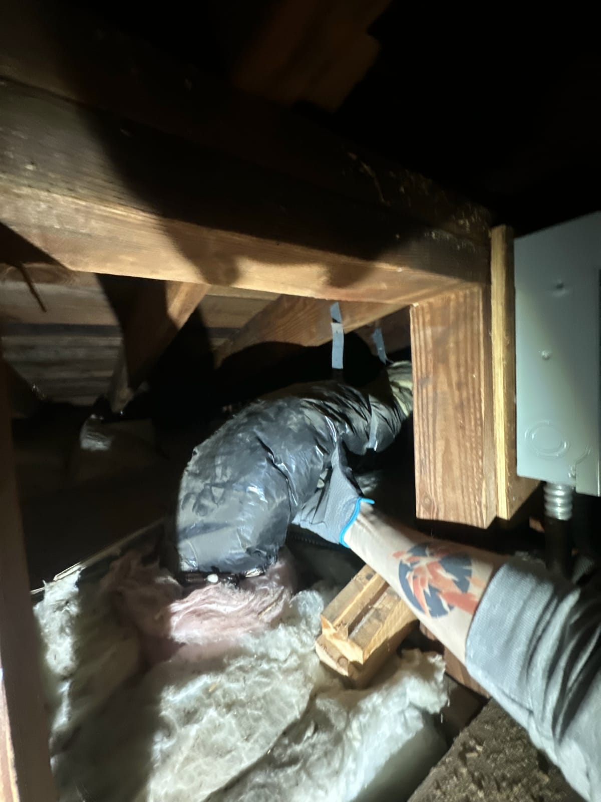 Attic ductwork prepared for inspection or cleaning service